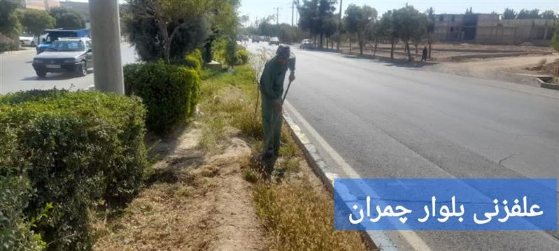 گزارشی تصویری از اقدامات انجام شده